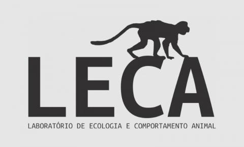 UEL orienta comunidade sobre o convívio com os macacos-pregos do Campus de Londrina